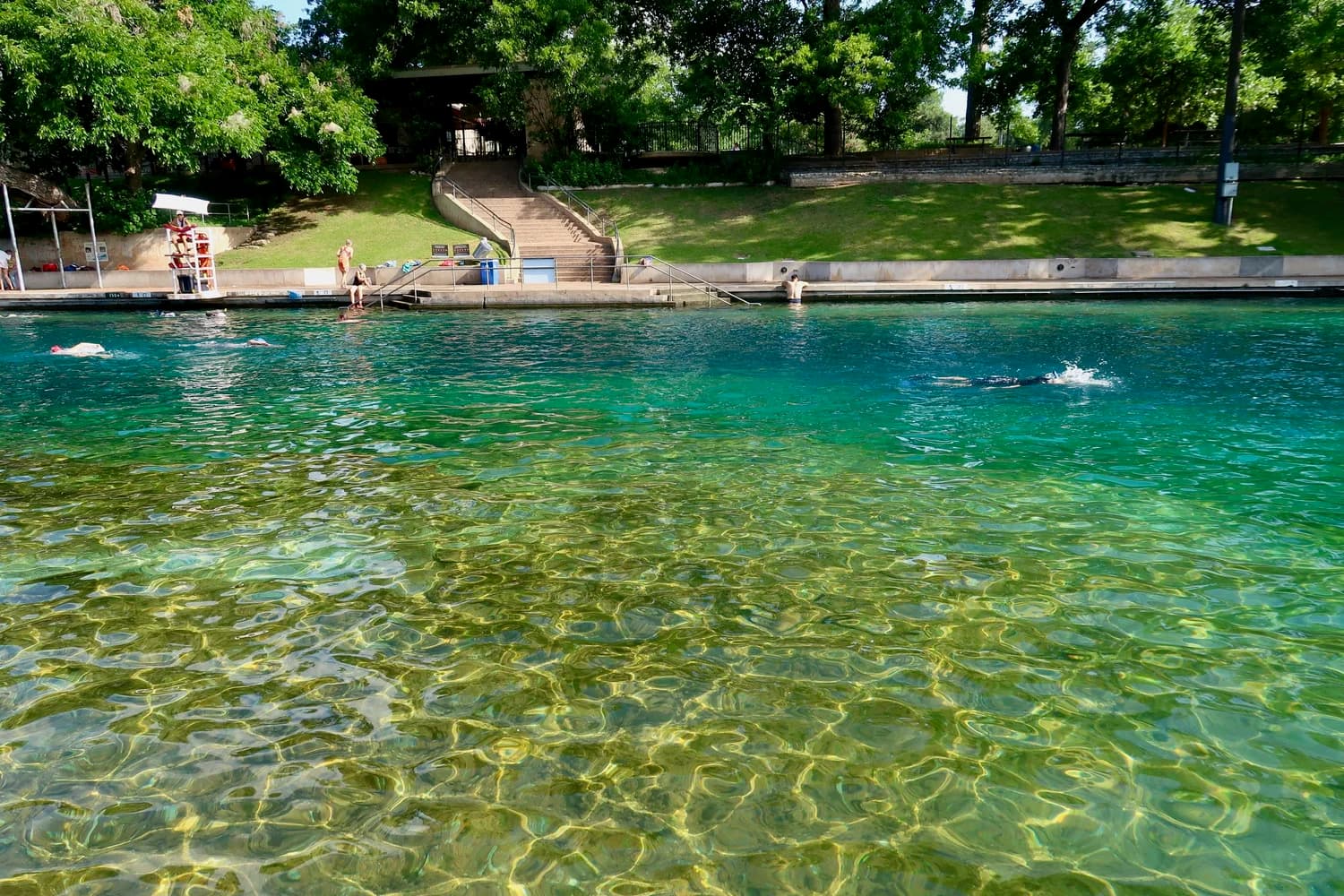 Swimmers in the clear spring-fed water at Barton Springs Pool in Zilker Park